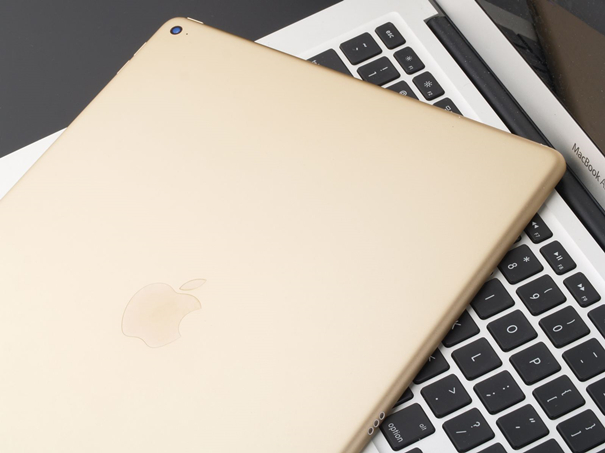 5f9ff5c3537ca.jpg 5f9ff5c3537ca.jpg